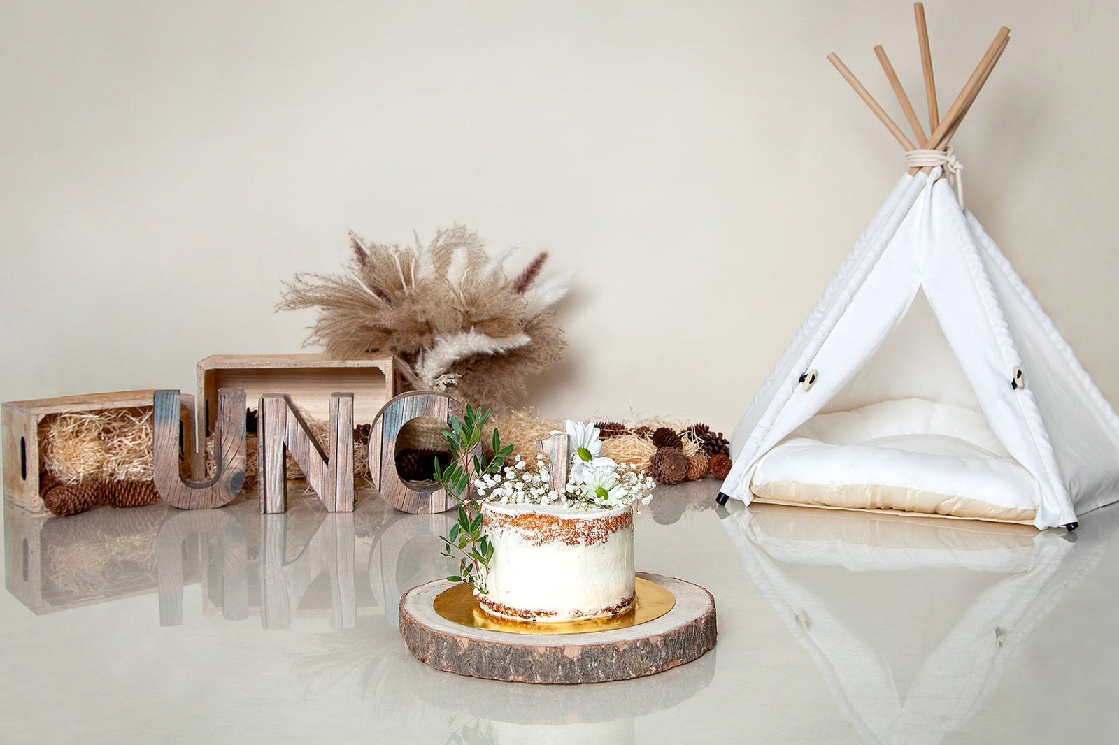 escenario-smashcake-cumpleaños-fotografa-sophia-arenas-madrid-ilussion-estudio-decorado-boho-tienda-tipi-indio-castañas-otoño-piña