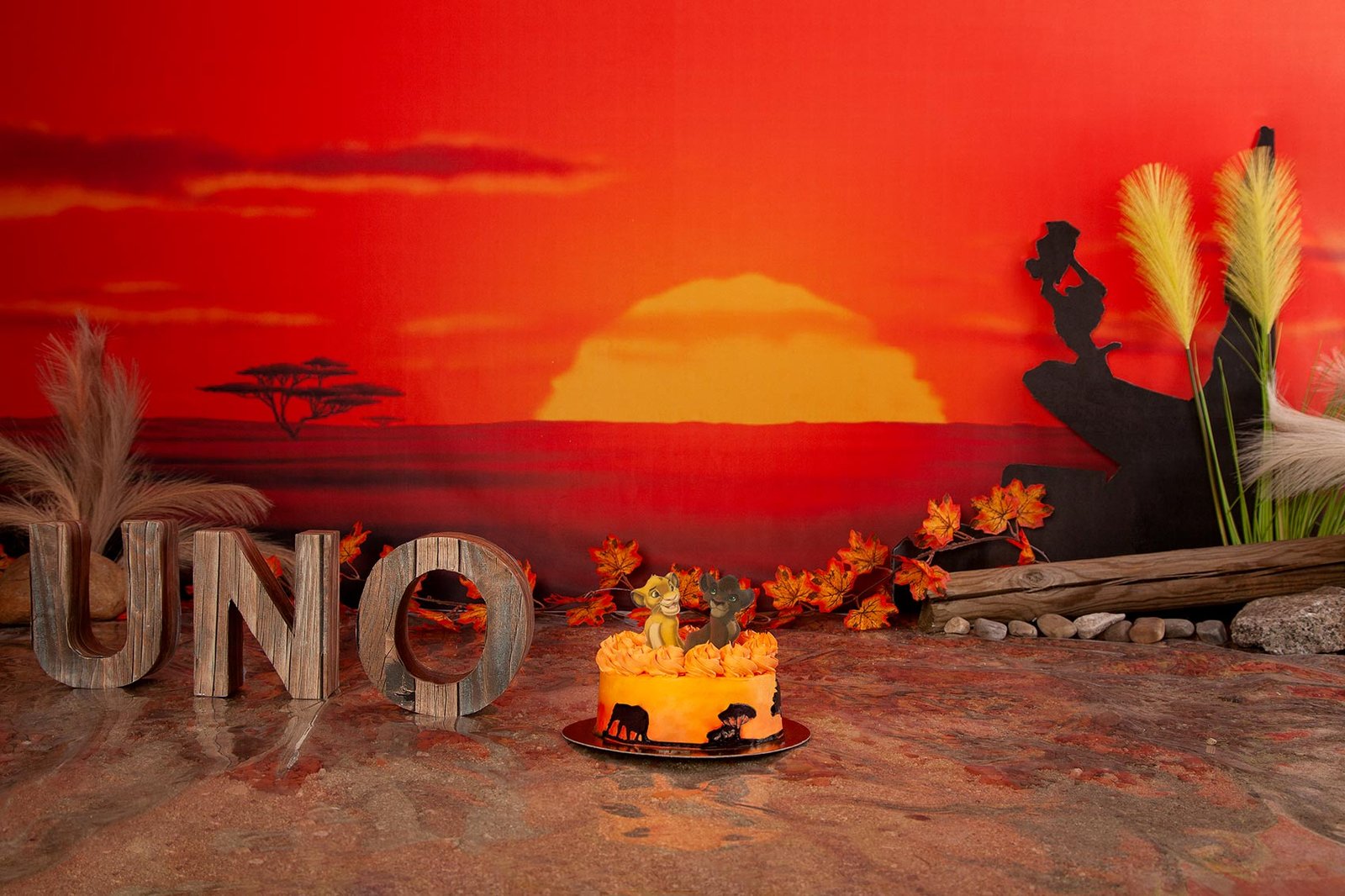 escenario-smashcake-cumpleaños-fotografa-sophia-arenas-madrid-ilussion-estudio-decorado-rey-leon-dos-tarta