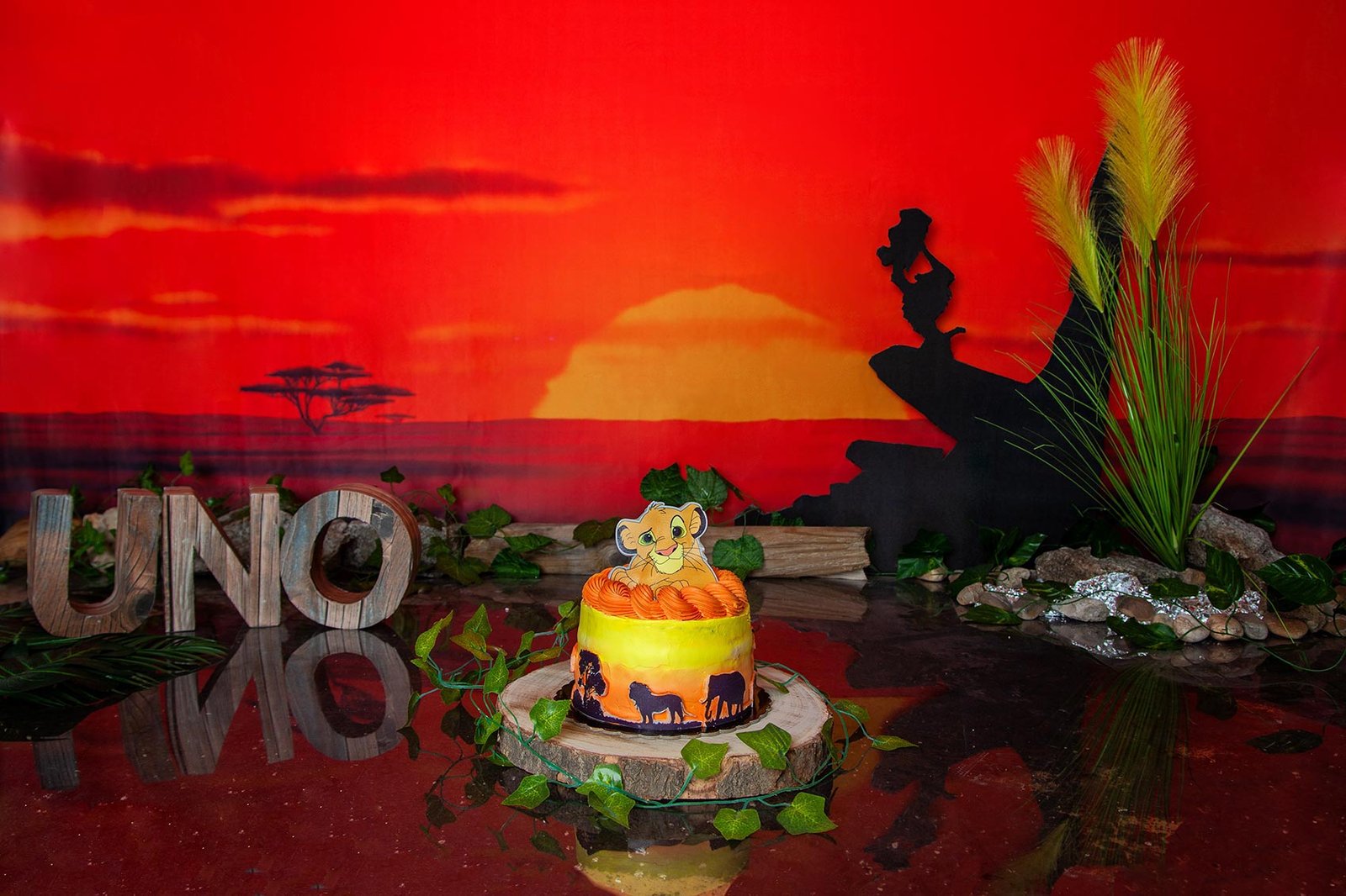 escenario-smashcake-cumpleaños-fotografa-sophia-arenas-madrid-ilussion-estudio-decorado-rey-leon-tarta-alergia-sin-gluten-azucar-leche